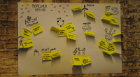 PolyTalent brainstorm